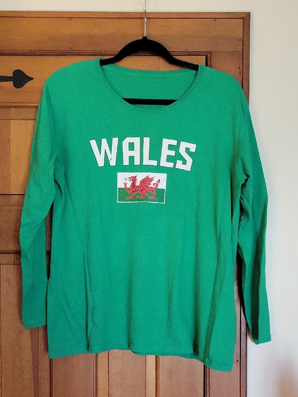 Green Wales Graphic Long Sleeve Tee - Picture 4 of 5